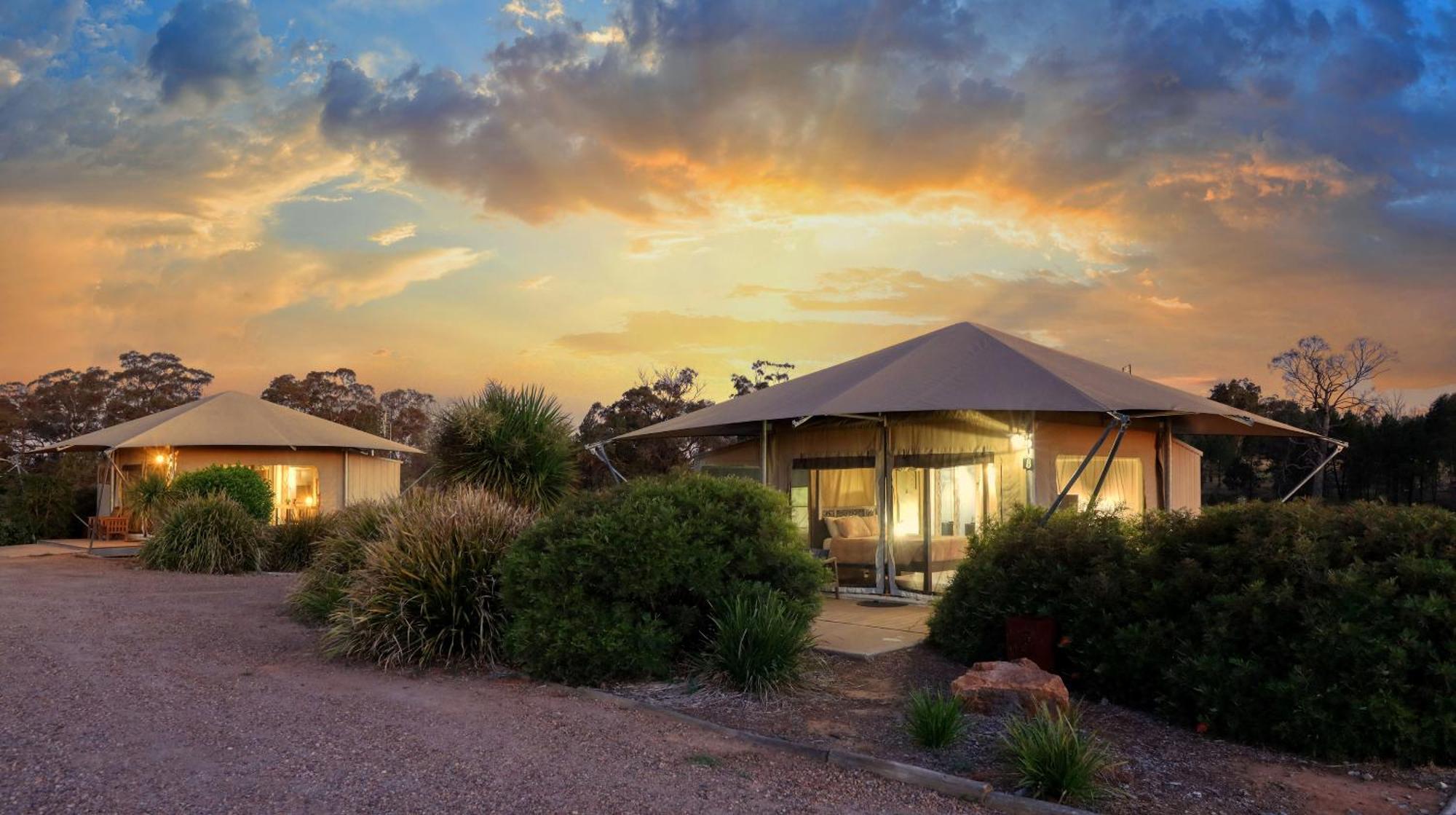 Dubbo Rhino Lodge المظهر الخارجي الصورة